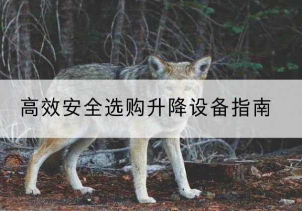 兴化升降货梯厂家推荐-*安全选购升降设备指南