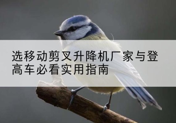 兴化电动升降机厂家-选移动剪叉升降机厂家与登高车必看实用指南