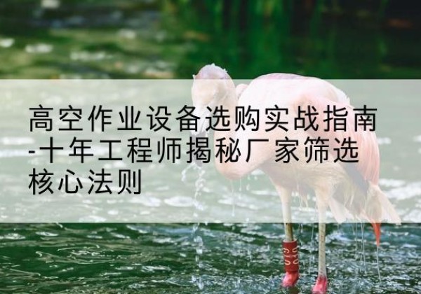 兴化剪叉式升降机厂家-高空作业设备选购实战指南-十年工程师揭秘厂家筛选核心法则